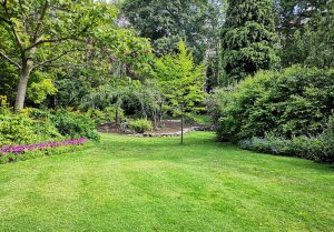 Optimiser l'expérience du jardin à Orval