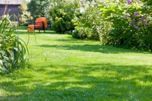 travaux jardin et paysage Orval